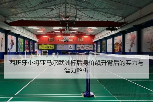 西班牙小将亚马尔欧洲杯后身价飙升背后的实力与潜力解析